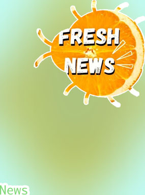 Casoo freshest news