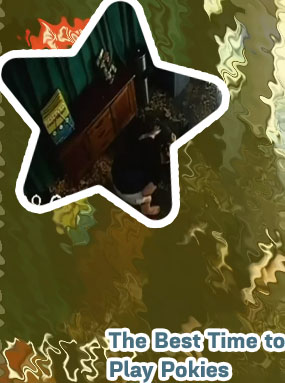 Latest news the pokie net