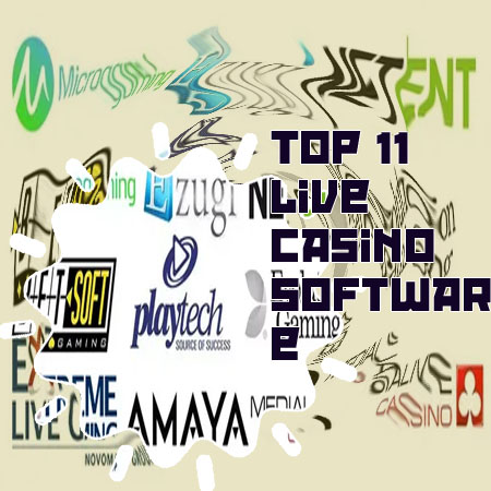 Top online casino software providers